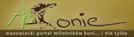 Portal AdKonie.pl  jest patronem medialnym OMPMiD 2014